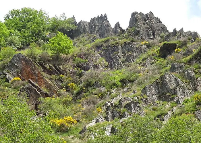 Rural La Bergerie Du Sant *